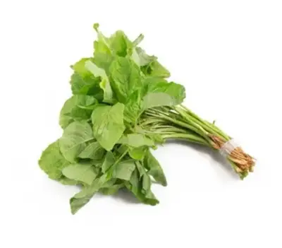 Bayam